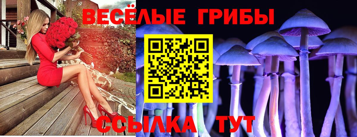 хочу наркоту  Псилоцибиновые грибы Psilocybe  Вход с VPN  Алексеевка 